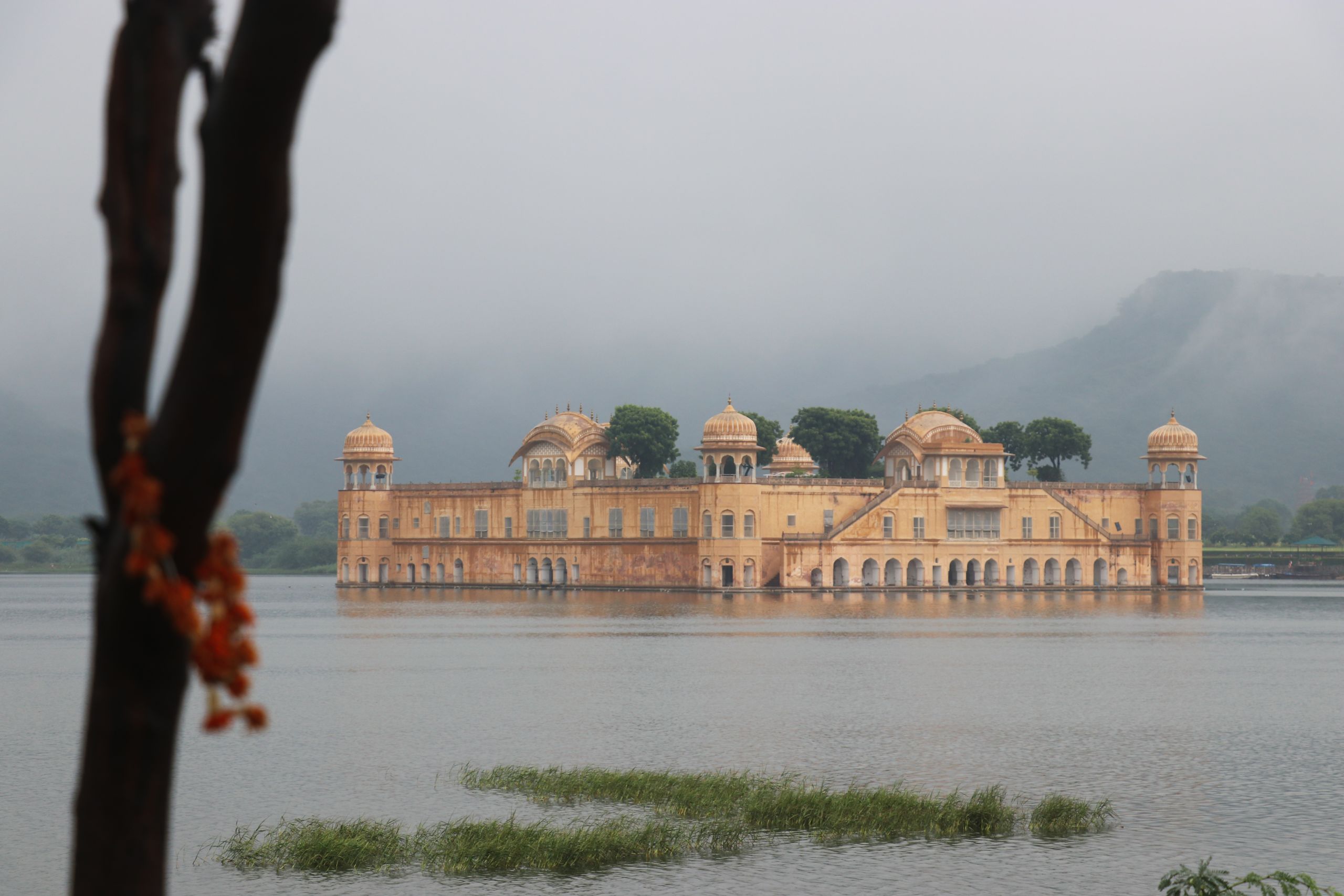 Jal Mahal palace is surrounded by water. A tree with a garland of red hibiscus flowers is in the left of the picture.