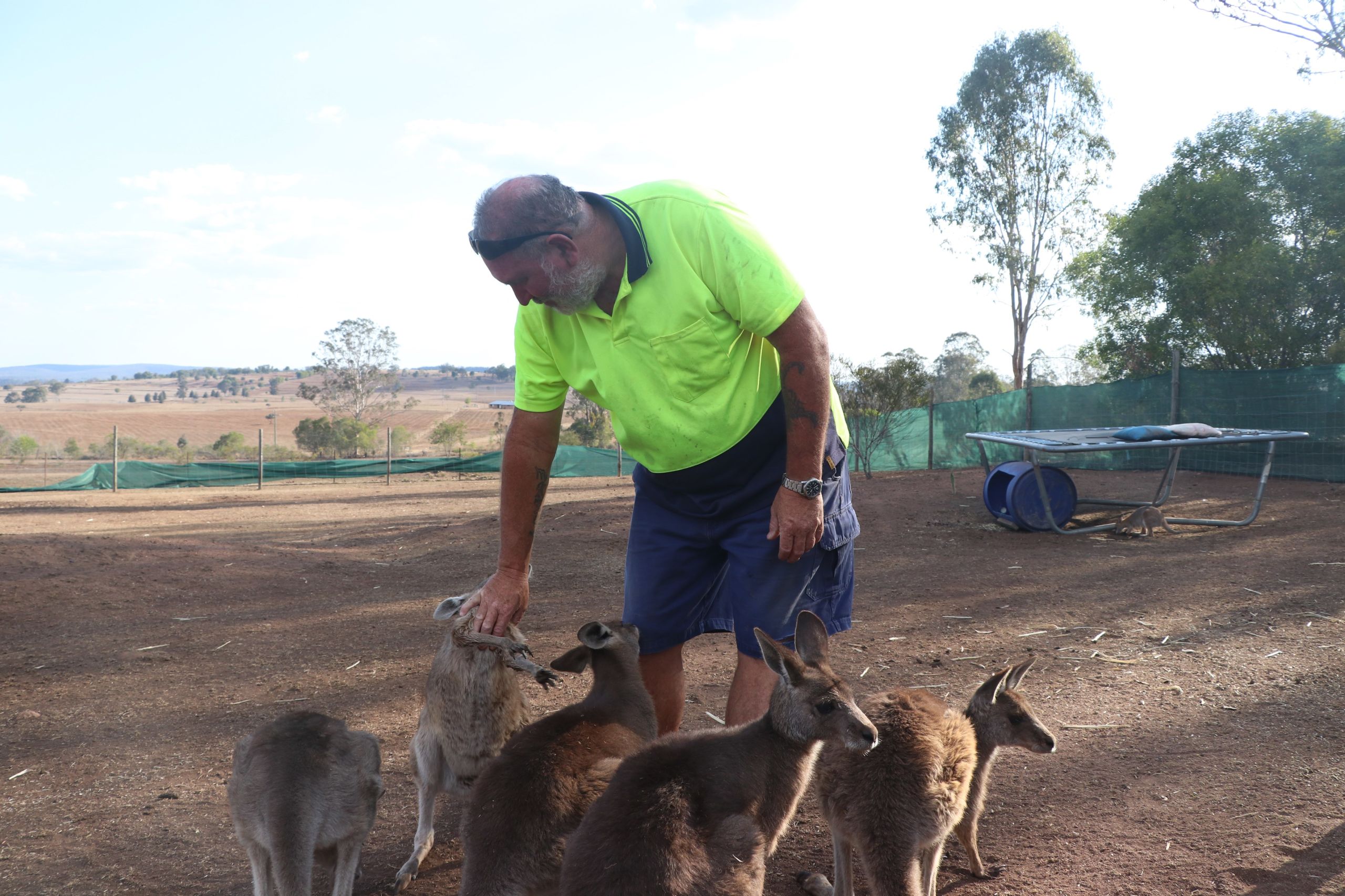 Wildlife Rescuers Suffer in the Drought